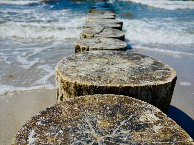 Holzpfähle entlang eines Strandes, Wellen brechen sanft daran.