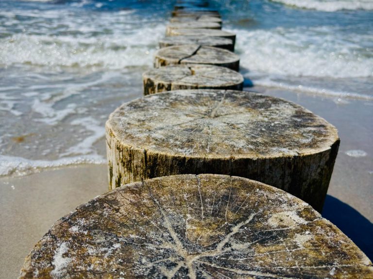 Holzpfähle an einem Strand, die ins Wasser führen, mit Wellen im Hintergrund.